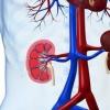 What are diuretics and how are they classified?