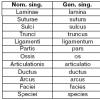 A. I. Štūns. Latīņu valoda ārstiem: lekciju piezīmes. Lietvārds (nomen substantivum)