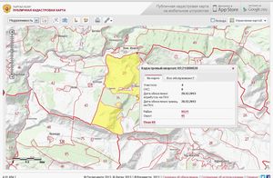 What is a public cadastral map and how to use it correctly