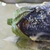 How long to bake eggplant Whole eggplant baked in foil