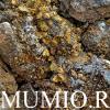 From what they drink the mummy.  Application of mumiyo.  Respiratory diseases