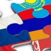 Unione economica eurasiatica: composizione e cronologia Aspetto sociale dell'integrazione